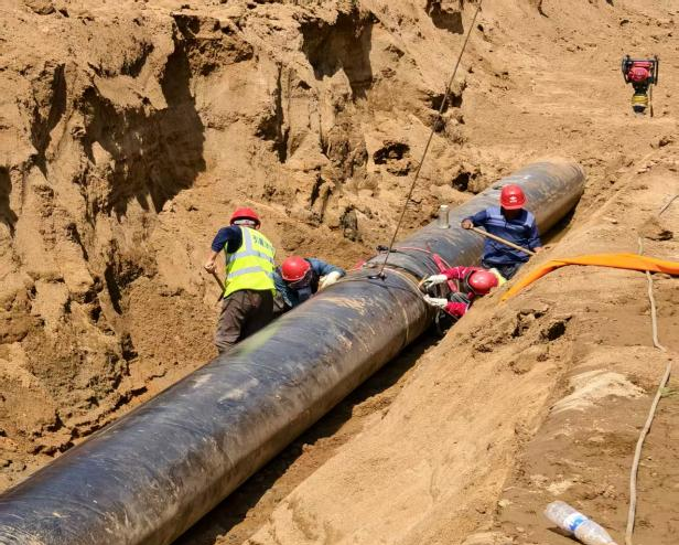 圖片5.png 圖片5.png