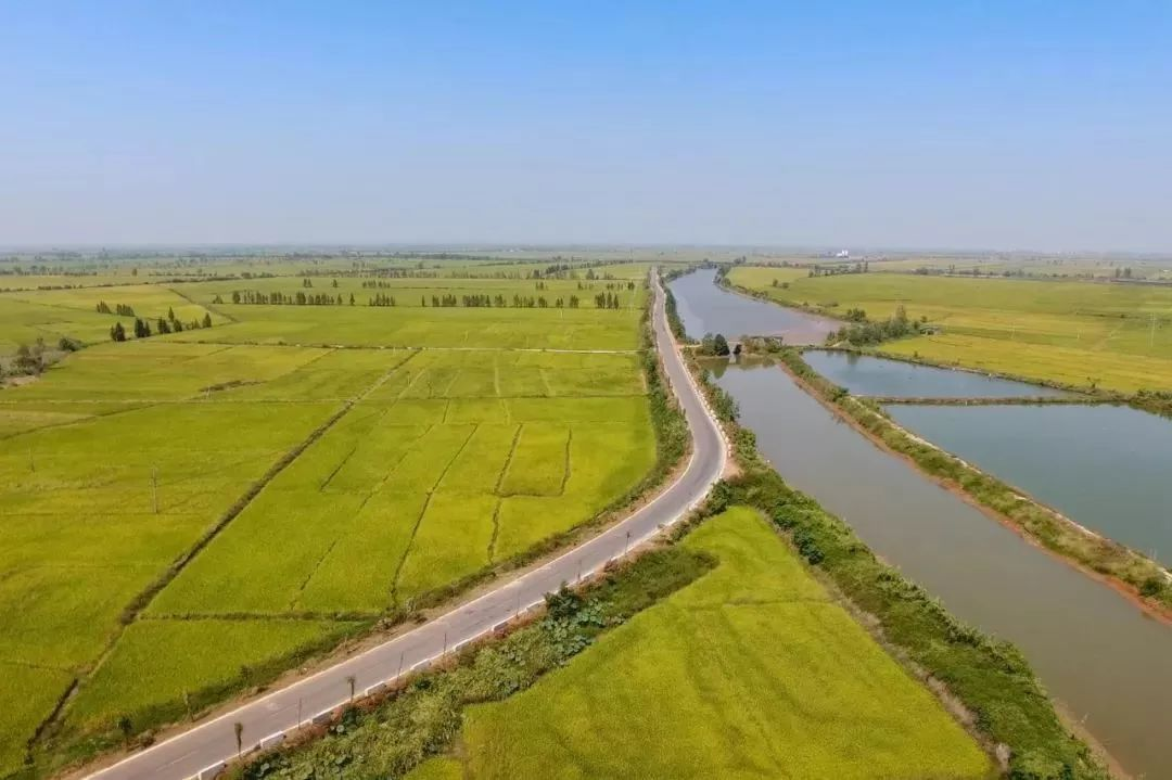 圖片15.png 圖片15.png